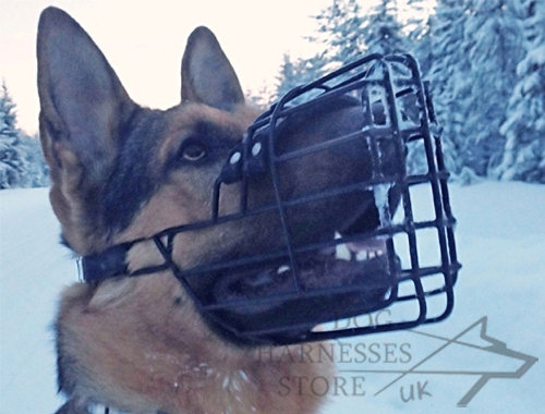 German Shepherd Muzzle Rubber Covered Wire, Best for Winter - Click Image to Close