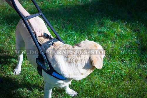 Guide Dog Harness with Handle of Black Nylon, Quick-release