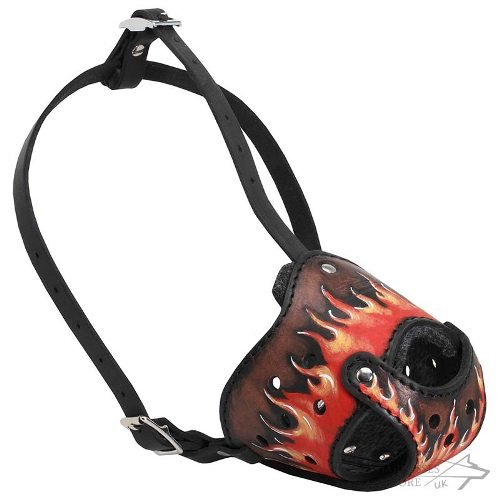 Handmade Leather Dog Muzzle with Flames Painting for All Breeds - Click Image to Close