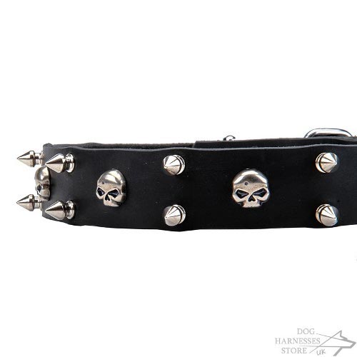 Heavy Metal Dog Collar Leather with Skulls & Two Rows of Spikes