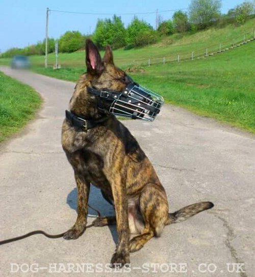 Herder Dog Muzzle Wire Basket Design, Fully Leather Padded - Click Image to Close