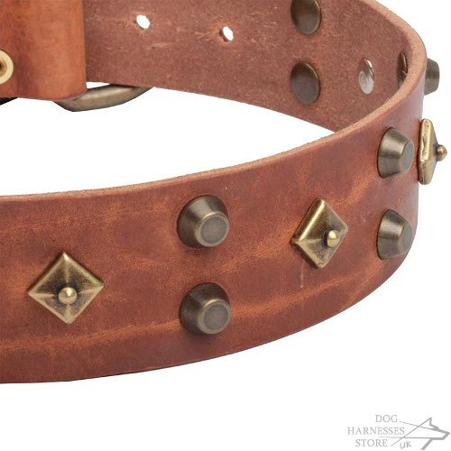 High Fashion Dog Collar with Old Bronze Stars and Brass Pyramids