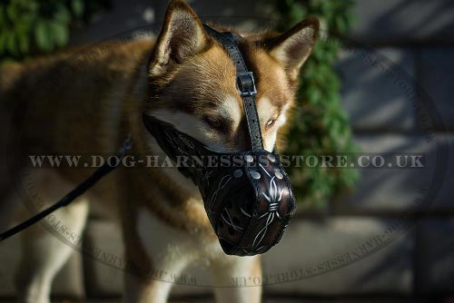Husky Dog Muzzle Leather with Unique Barbed Wire Hand Painting