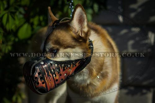 Husky Dog Muzzle of Leather with Exclusive Flame Hand Painting