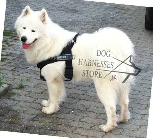 Dog Harness for Samoyede, Nylon K9 for Walks and Work - Click Image to Close