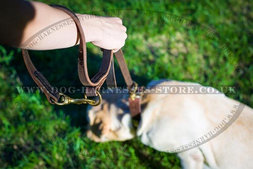 Labrador Dog Leash of Leather for Over 7 Different Activities - Click Image to Close