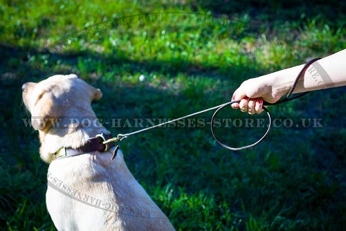 Labrador Dog Leash of Round Leather, Best for Shows