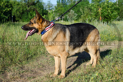 Painted Dog Collar 'American Pride' for GSD Bright Style