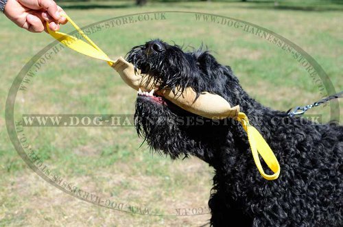 Leather Bite Tug with Two Handles for Black Russian Terrier