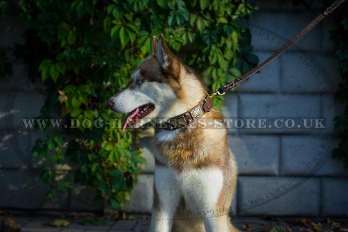 Leather Dog Collar for Husky with Vintage Plates and Pyramids