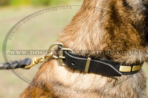 Leather Dog Collar Necklace Style for Belgian Shepherd Walking