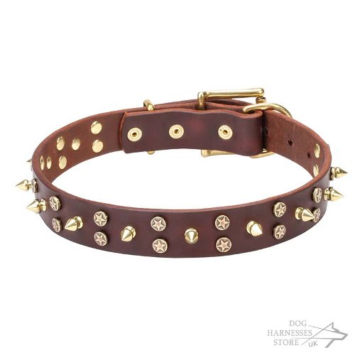 Leather Dog Collar Studded with Stars and Spikes of Goldy Brass