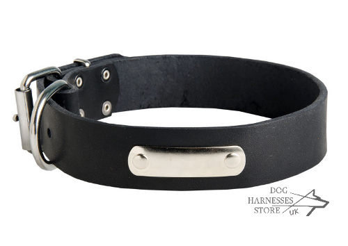 Leather Dog Collar UK with ID Plate, Personalized Accessory - Click Image to Close