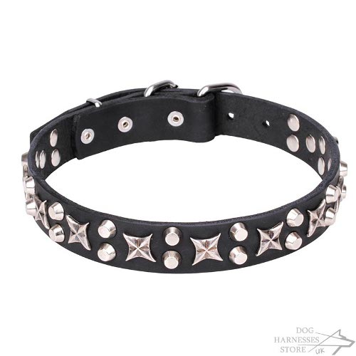 "The Starry Arch" Incredibly Decorated Leather Dog Collar