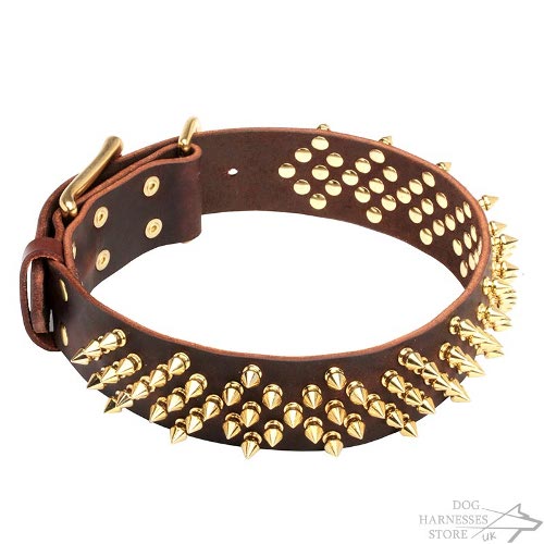 Leather Dog Collar with Waves of Sparkling Brass Barbs "Stinger"