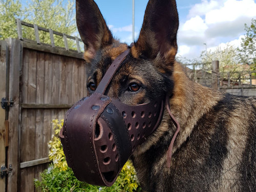 Leather Dog Muzzle for German Shepherd Agitation Training