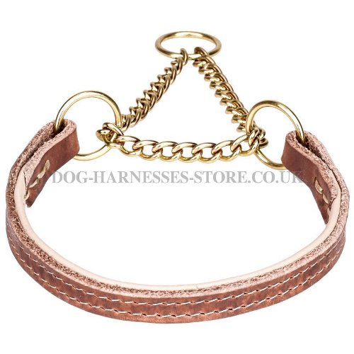 Leather Martingale Dog Collar with Brass-Plated Chain and Nappa