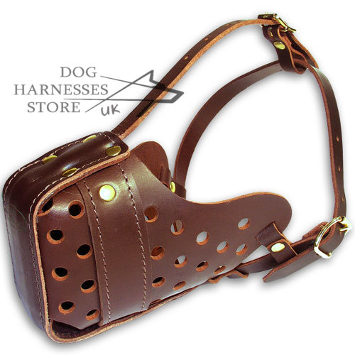 Best Leather Dog Muzzle for Large Breeds Training and Walks