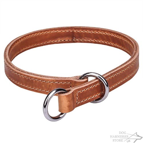 Leather Slip Collar for Dog Obedience, Double-Ply, Stitched