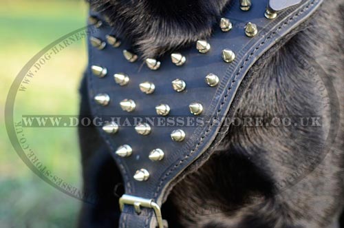 Leather Spiked Dog Harness with Padded Chest Plate - Click Image to Close