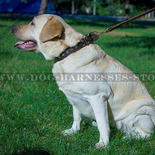 Leather Studded Dog Collar with Old Bronze-like Plated Pyramids