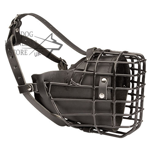 Training and Walking Dog Muzzle Covered with Black Rubber