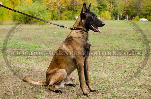 Leather Collars for Dogs with Spiked Shiny Style