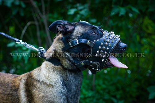 Malinois Muzzle Open Mouth Nappa Lined and Decorated