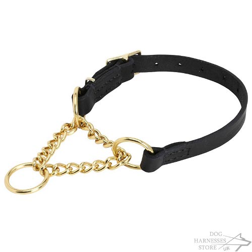 Brass Chain Martingale Collar with Leather Strap and Control