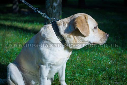 Metal Buckle Dog Collar of Thick Leather with Nickel Plates