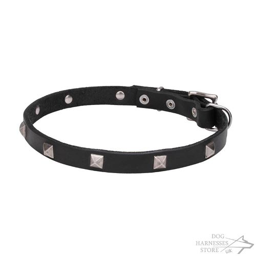 Modernly Designed Studded Thin Leather Dog Collar with Pyramids