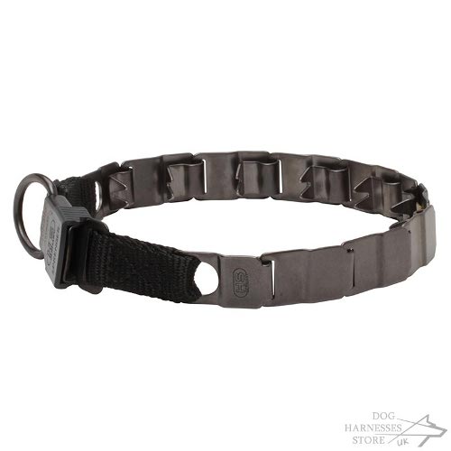 ew Neck Tech Prong Collar with Dog's Behavioral Problems
