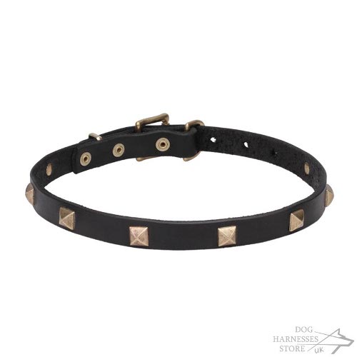Newfangled Thin Leather Dog Collar Studded with Brass Pyramids