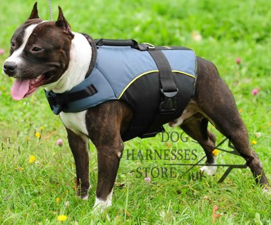 Dog Harness Vest for Staffy, Soft Padded for Warming and Support