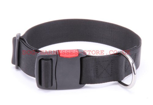 Adjustable Dog Collar of Nylon with Quick-Release Plastic Buckle