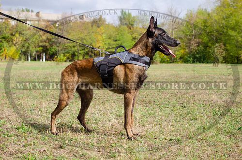 Dog Harness Vest for Belgian Shepherd, Warm Nylon Coat