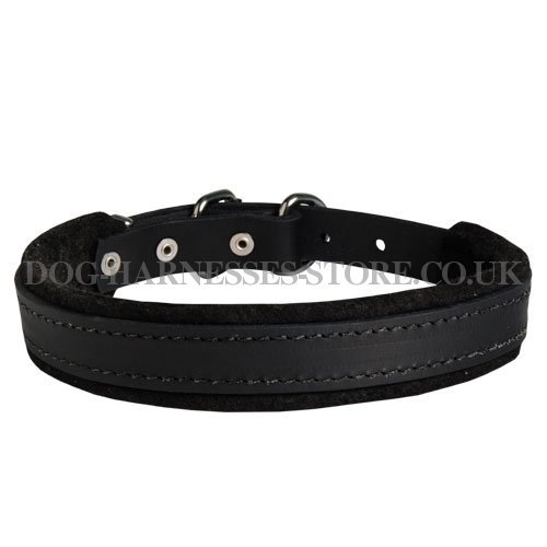 Padded Leather Dog Collar with Felt, Narrow Width for Training