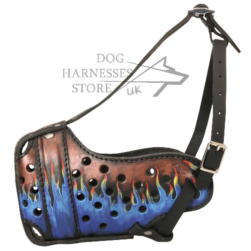 Hand Painted Dog Muzzle of Pure Leather