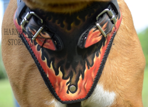 Designer Dog Harness for Pitbull Terrier UK with Flame Pattern