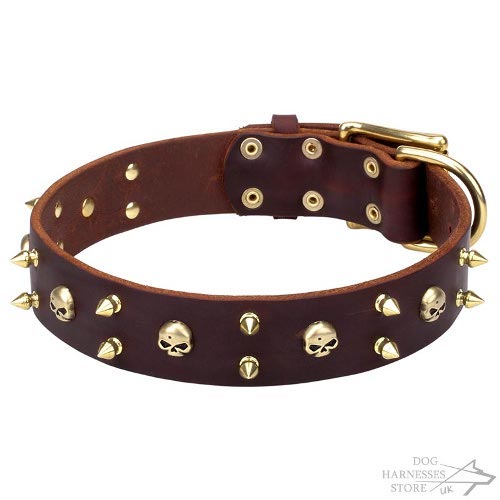 Punk Rock Dog Collar with Goldy Barbs and Spikes, Super Style