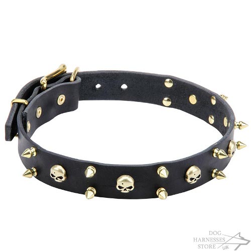 Rock-n-Roll Dog Collar with Brass Skulls and Two Rows of Spikes