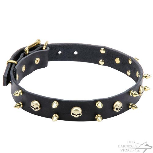 Rock-n-Roll Dog Collar with Brass Skulls and Two Rows of Spikes - Click Image to Close