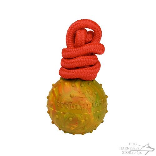 Special Offer: Hard Rubber Dog Ball on Nylon Rope for GBP 0.01! - Click Image to Close