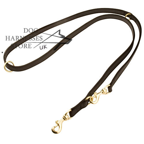 Rubberized Nylon Dog Lead UK