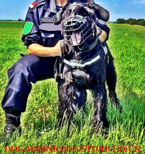 Schnauzer Muzzle for Work of Rubberized Leather Padded Wire