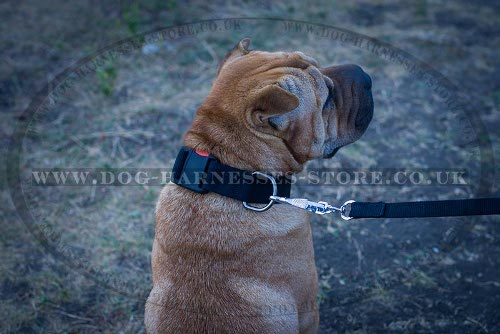 Shar-Pei Collar Nylon with Quick-Release Buckle, Adjustable Size