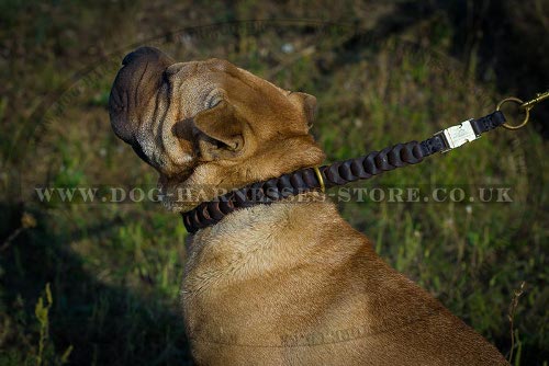 Shar-Pei Collar Braided Leather Choker for Obedience Training