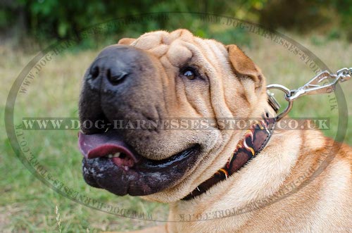 Shar-Pei Collar Leather Hand Painted with Flames, Exclusive