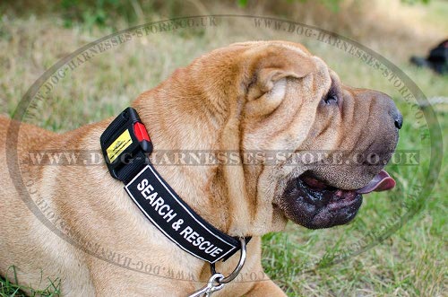 Shar-Pei Collar Nylon with ID Patches and Quick-Release Buckle