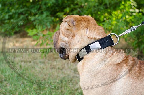 Shar-Pei Collar of Nylon with Large Nickel Plates for Daily Use